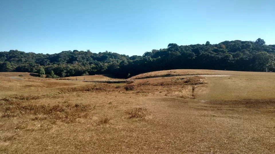 Photo of Mawphlang Sacred Grove, Mawsynram-Shillong Road, Synrang Kaban, Meghalaya, India by MissDoLittle a.k.a Khushbu Jhaveri