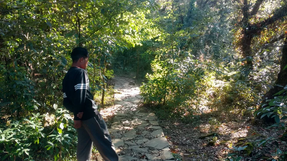 Photo of Inside the Sacred Khasi Forests of Meghalaya by MissDoLittle a.k.a Khushbu Jhaveri
