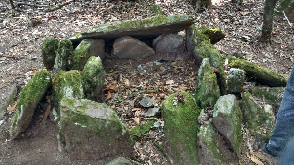 Photo of Inside the Sacred Khasi Forests of Meghalaya by MissDoLittle a.k.a Khushbu Jhaveri