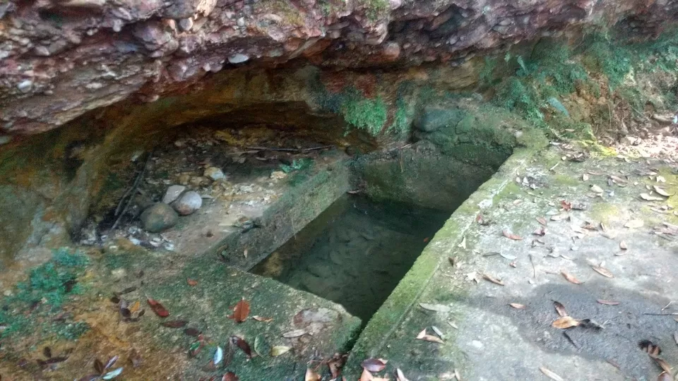 Photo of Inside the Sacred Khasi Forests of Meghalaya by MissDoLittle a.k.a Khushbu Jhaveri