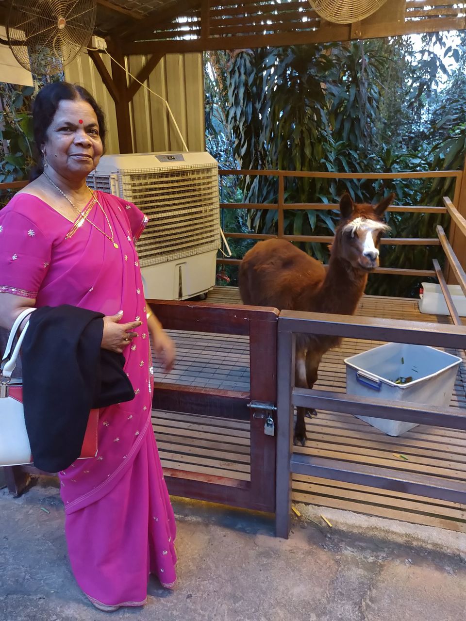 Photo of Explore Malaysia in a "royal" and an "infinite" way (budget friendly!) by Pooja Bhasin