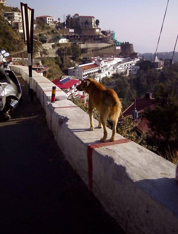 Photo of Mussoorie Memoirs by Amrita Brahmo