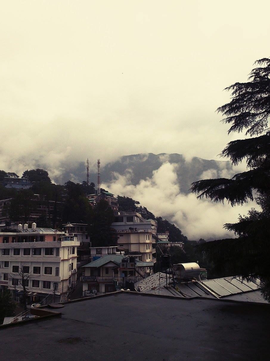 Photo of Dharamshala Diaries 4/14 by Amrita Brahmo