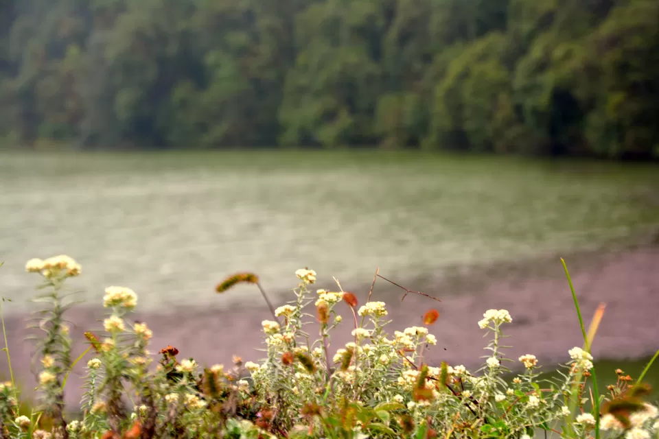Photo of Deoria Tal, Rudraprayag, Uttarakhand, India by Tanvi Asthana