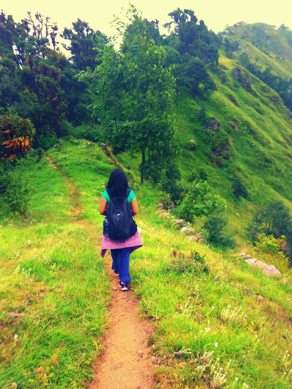 Photo of Chopta, Uttarakhand, India by Tanvi Asthana