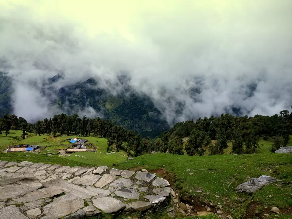 Photo of Chopta, Uttarakhand, India by Tanvi Asthana