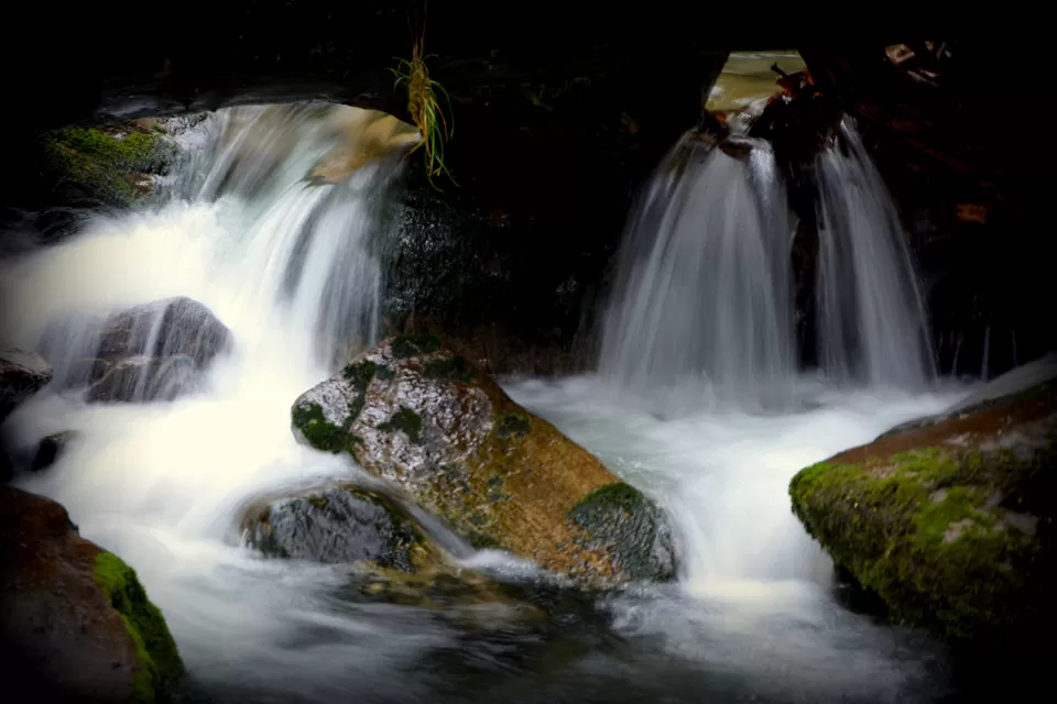 Photo of Chopta, Uttarakhand, India by Tanvi Asthana