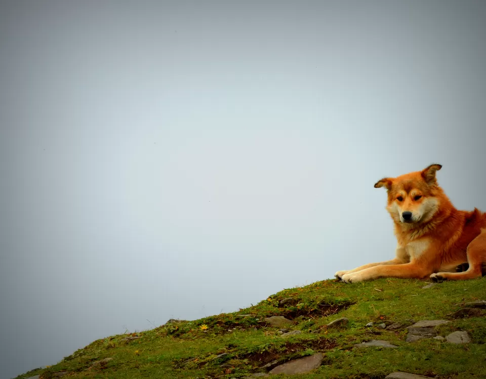 Photo of Tungnath, Uttarakhand, India by Tanvi Asthana