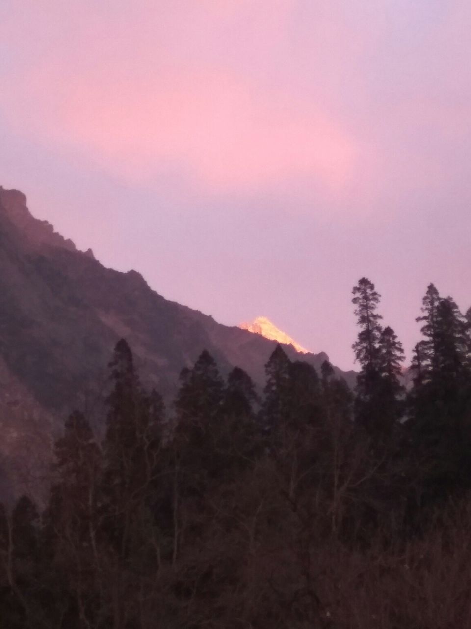 Photo of Manala, kasol, kheerganga & Manali : 5 nights in Rs.5000. by Harshit Doshi