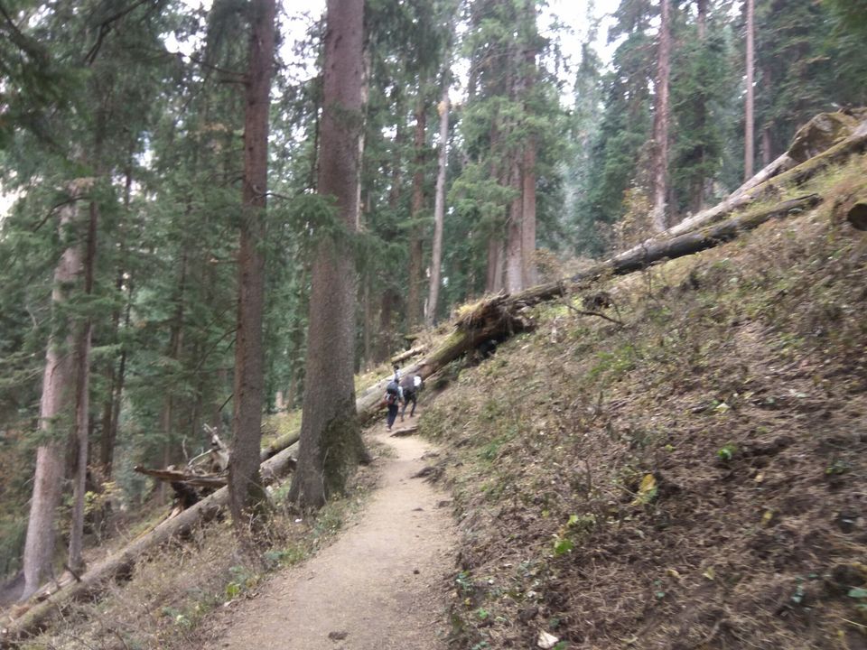 Photo of Manala, kasol, kheerganga & Manali : 5 nights in Rs.5000. by Harshit Doshi
