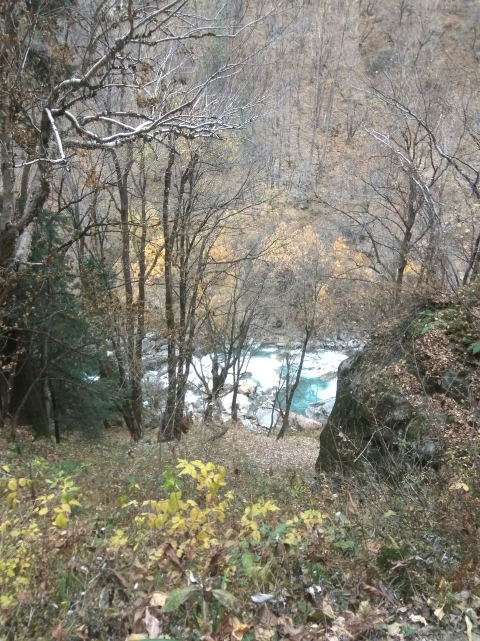 Photo of Manala, kasol, kheerganga & Manali : 5 nights in Rs.5000. by Harshit Doshi