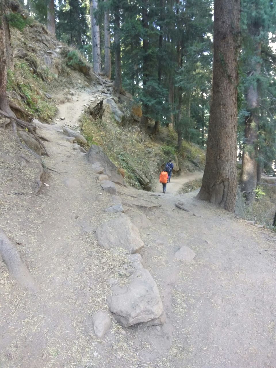 Photo of Manala, kasol, kheerganga & Manali : 5 nights in Rs.5000. by Harshit Doshi