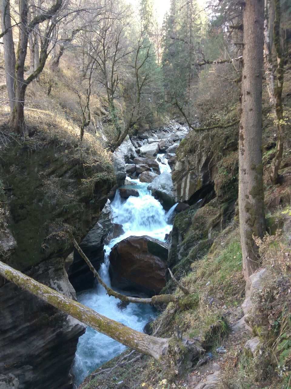 Photo of Manala, kasol, kheerganga & Manali : 5 nights in Rs.5000. by Harshit Doshi