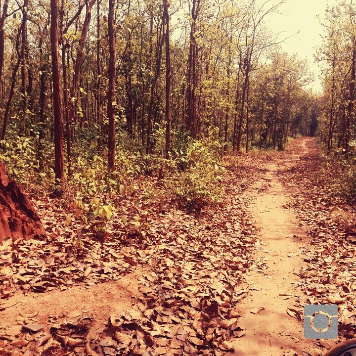 Photo of Nayagarh, Odisha, India by Rohit Mohanty