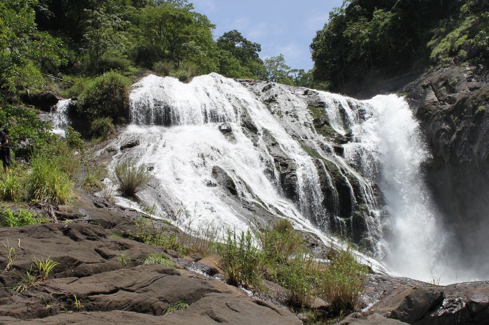 Photo of Silent Valley National Park, Kerala, India by Shashank