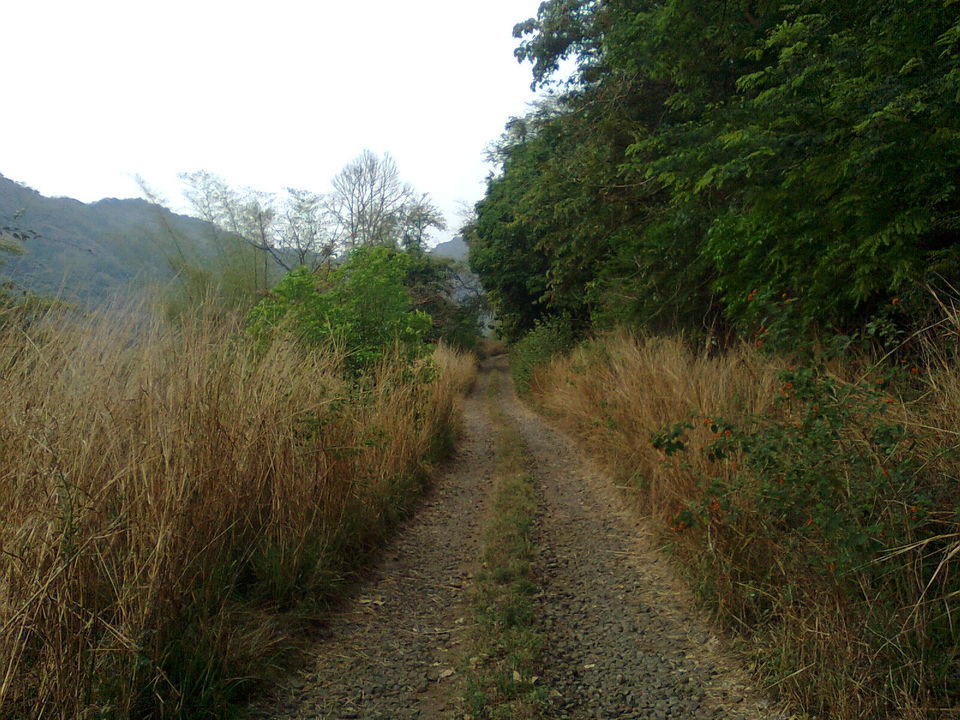 Photo of Silent Valley National Park: The Forest in the Valley by Shashank
