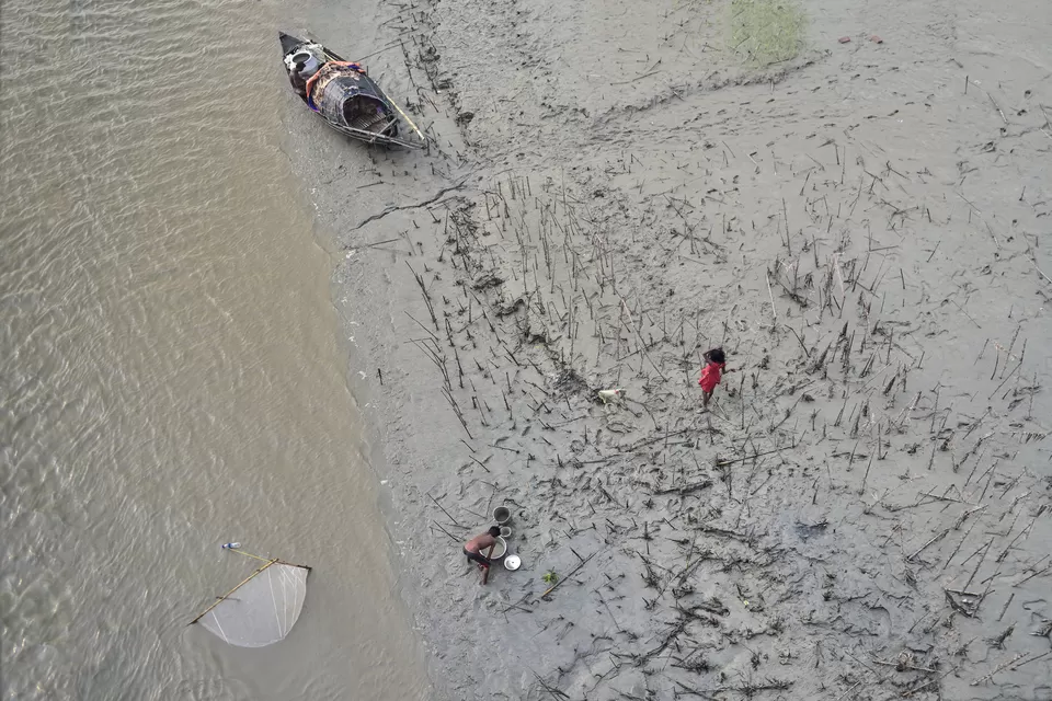 Photo of Sundarbans, Kolkata, West Bengal, India by Shashank