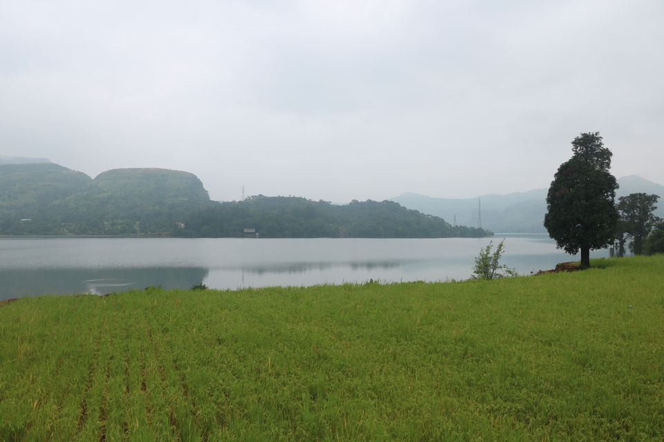 Photo of Impromptu Camping At Tamhini Ghat by Shashank