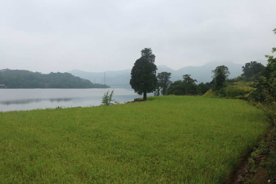 Photo of Impromptu Camping At Tamhini Ghat 1/3 by Shashank