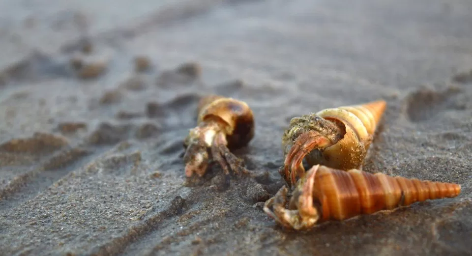 Photo of Malgund Beach, Malgund Beach by Paras Mohamed