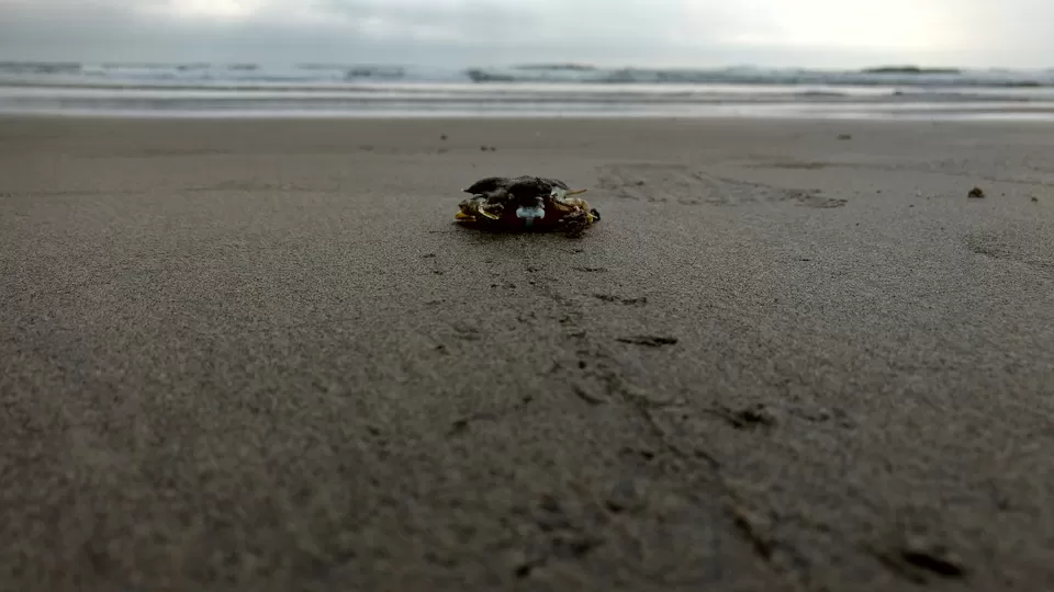 Photo of Benaulim, Goa, India by Paras Mohamed