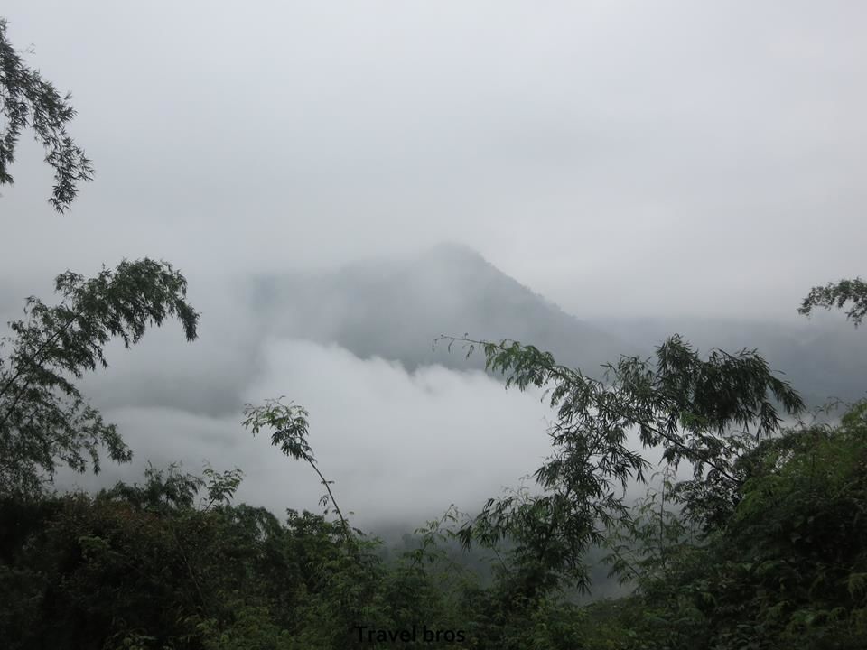 Photo of The land of coffee 3/34 by Vaibhav Subedar