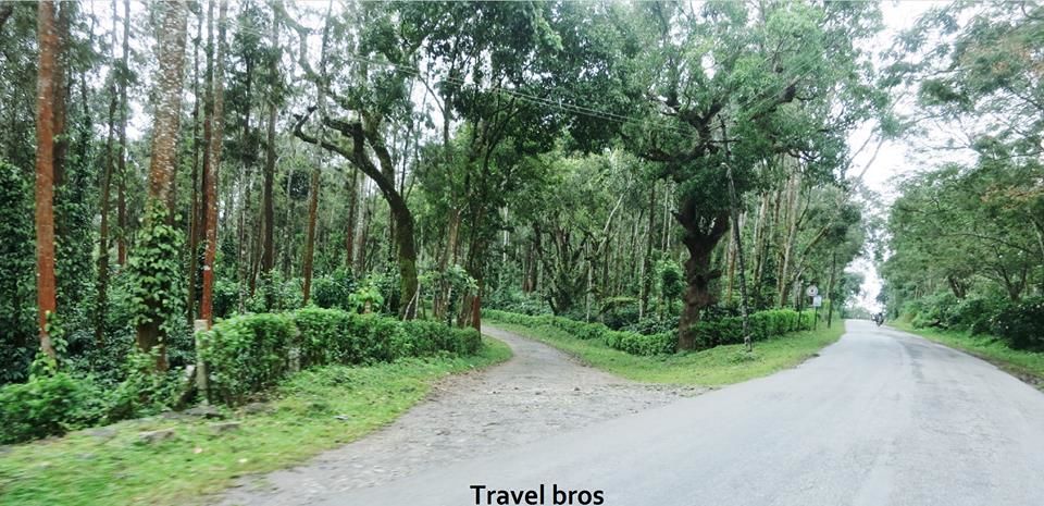 Photo of The land of coffee 27/34 by Vaibhav Subedar