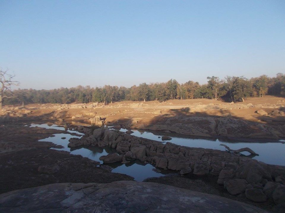 Photo of A trip to Pench-Patalkot with childhood friends 3/18 by Jayita Barua