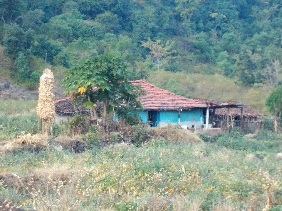 Photo of A trip to Pench-Patalkot with childhood friends 15/18 by Jayita Barua