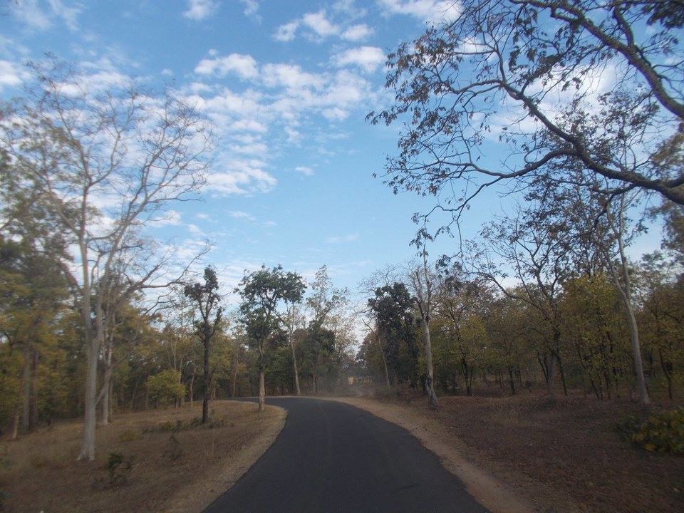 Photo of A trip to Pench-Patalkot with childhood friends 1/18 by Jayita Barua