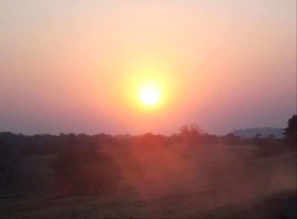Photo of A trip to Pench-Patalkot with childhood friends 14/18 by Jayita Barua