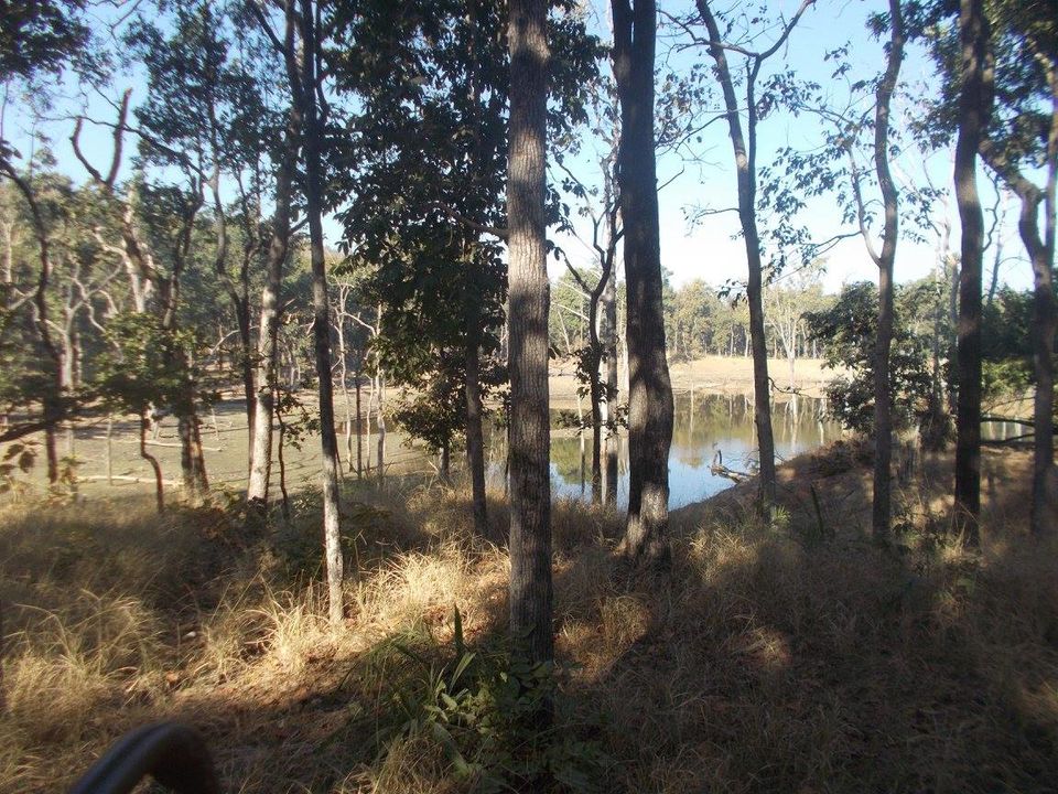 Photo of A trip to Pench-Patalkot with childhood friends 8/18 by Jayita Barua
