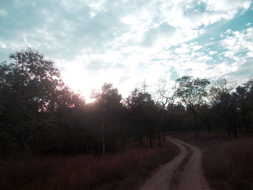 Photo of A trip to Pench-Patalkot with childhood friends 2/18 by Jayita Barua