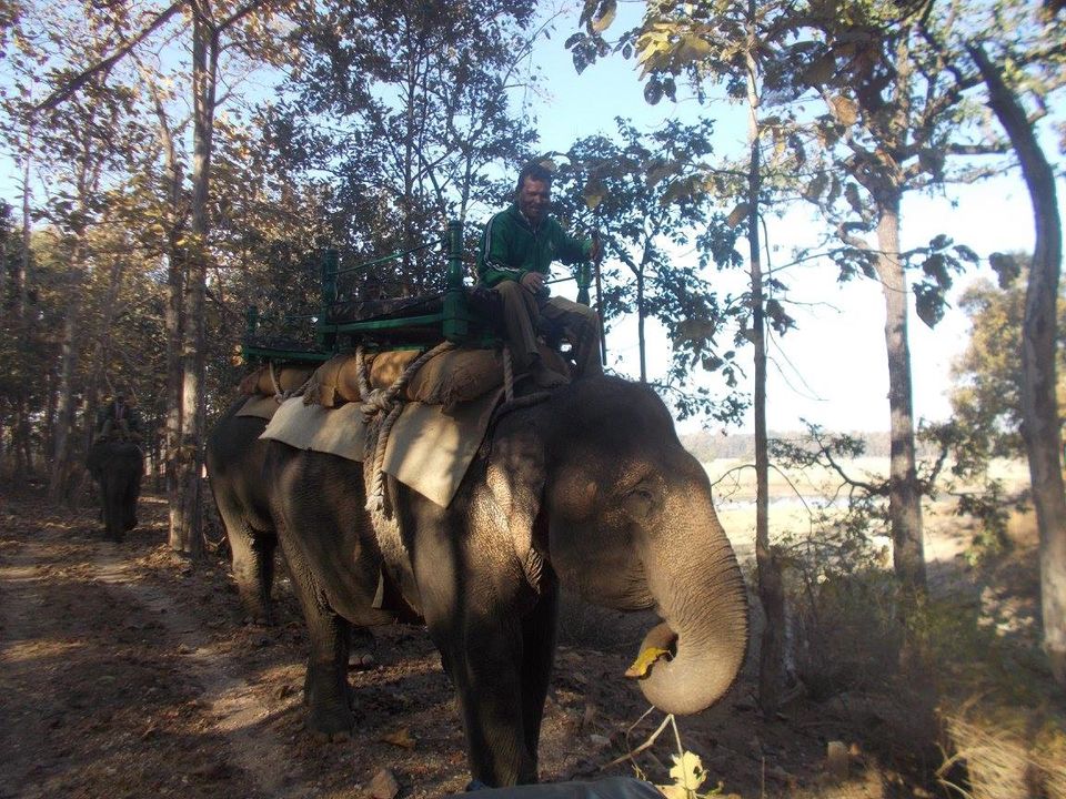 Photo of A trip to Pench-Patalkot with childhood friends 6/18 by Jayita Barua
