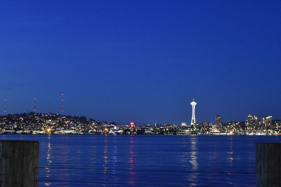 Photo of "Needled" the Space - Unexplored Seattle 3/9 by Rajni Singh