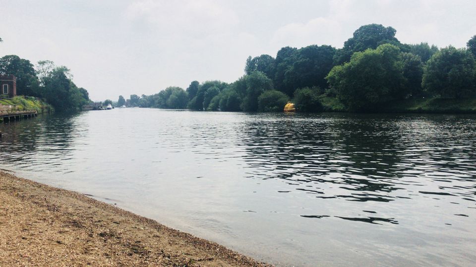 Photo of London - Tips and Tricks for making the most of this gorgeous city. 8/11 by Rajni Singh