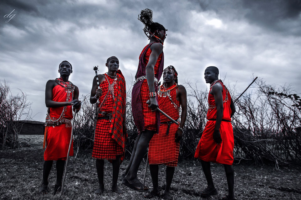 Photo of Africa - The Mecca of wildlife by Debasish G