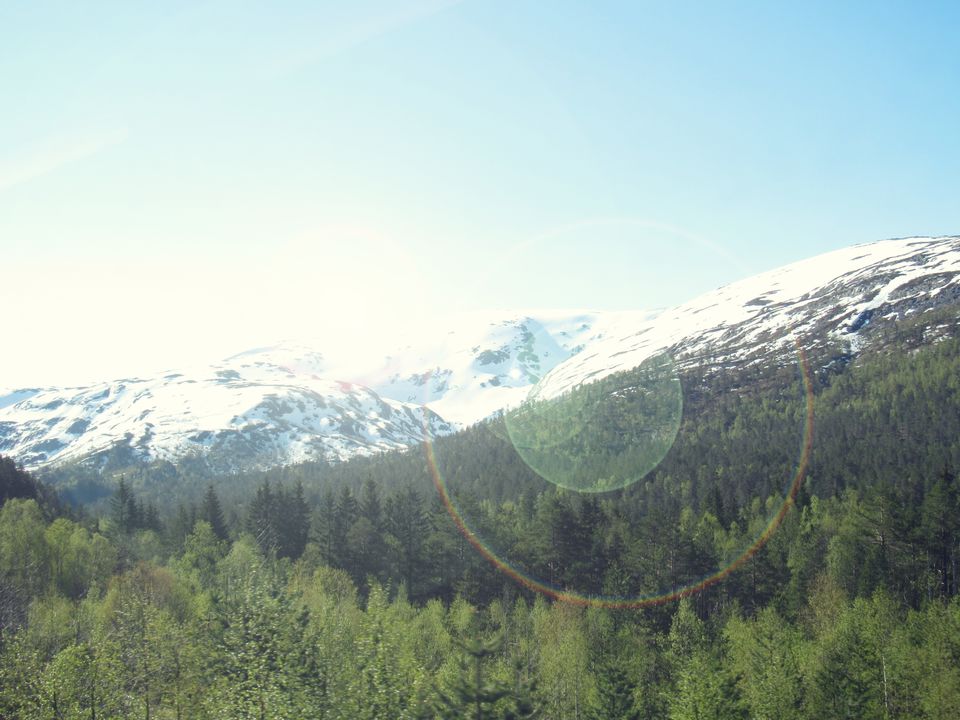 Photo of Do your own “Norway in a Nutshell” 3/15 by Swagatika Priyadarshini