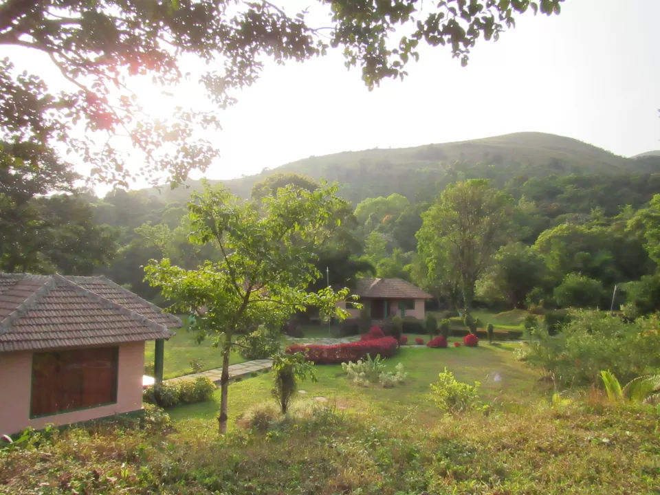 Photo of A weekend at Tusk & Dawn Jungle Resort in Sakleshpur by Swagatika Priyadarshini