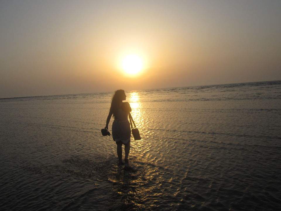 Photo of A surreal experience-Bordi Beach,Maharashtra 1/4 by KP