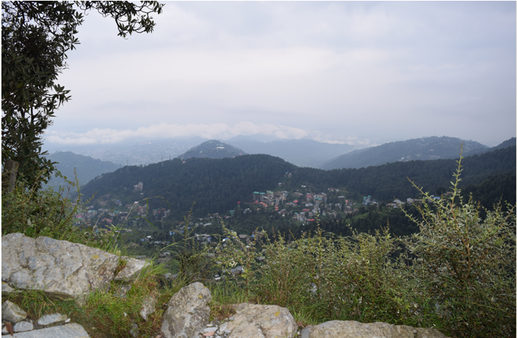 Photo of A Hippie Soul, A best friend and Himachal.. 4/11 by KP