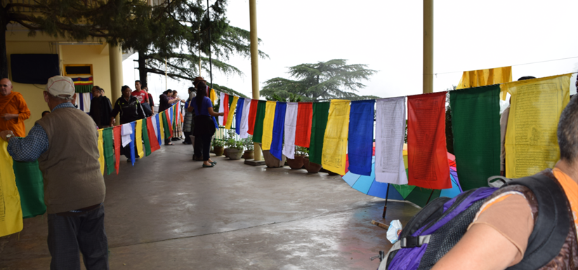 Photo of A Hippie Soul, A best friend and Himachal.. 10/11 by KP