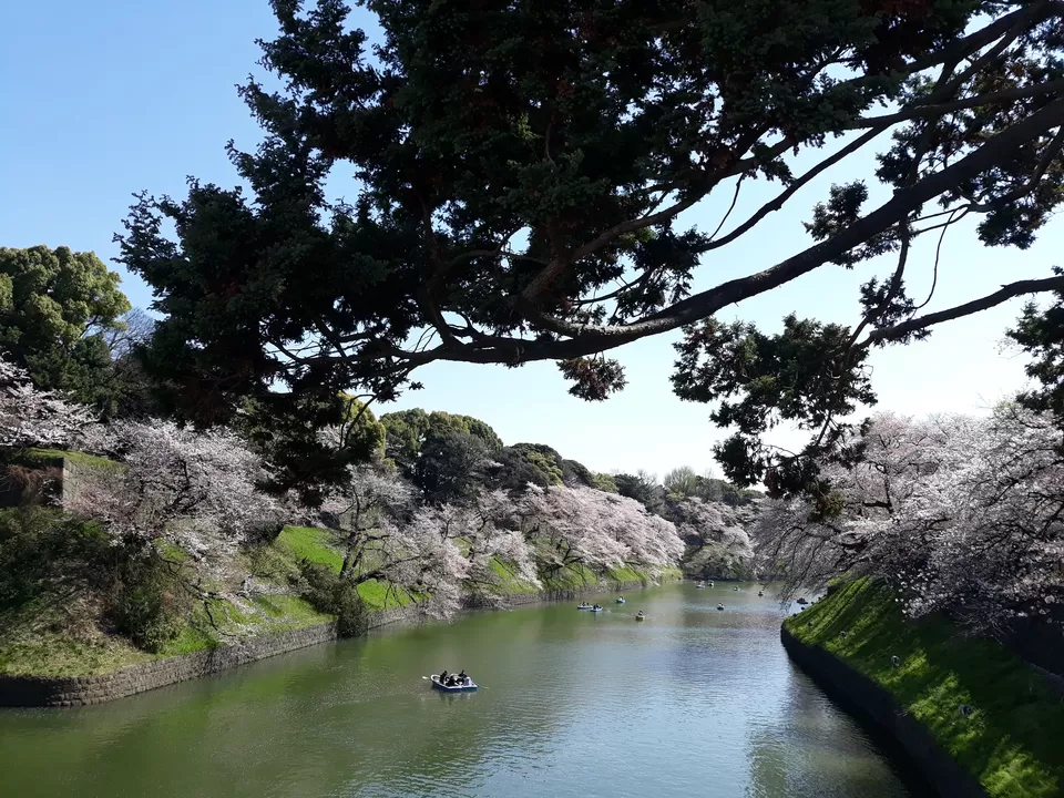 Photo of Imperial Palace, 1-1 Chiyoda, Tokyo, Japan by Wanderlust09