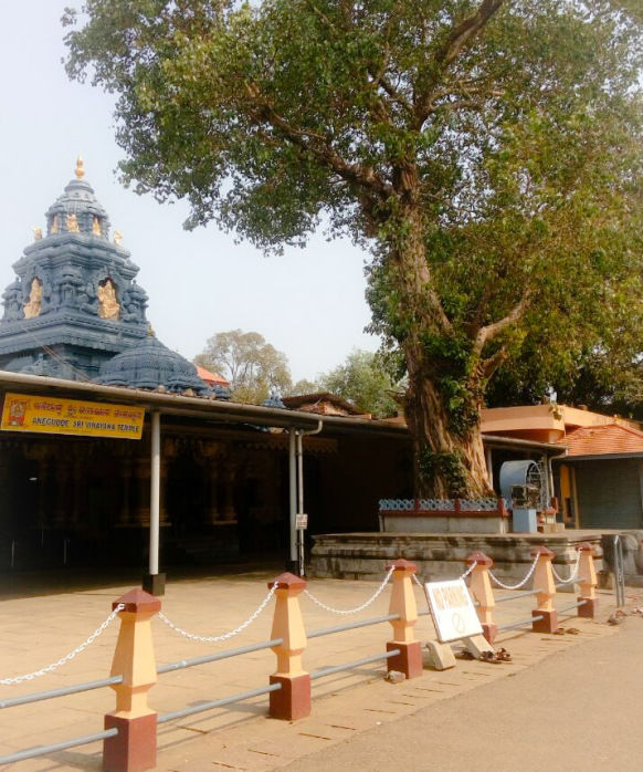 Photo of The Other, Rather Unexplored Side of Udupi 20/23 by sukanya.samy