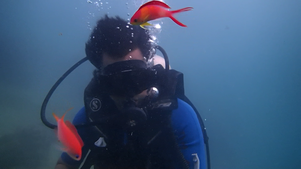 Photo of A stroll in the Andaman and Nicobar Islands 10/15 by Shubham Yadav
