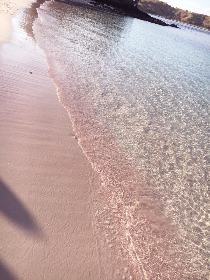Photo of Pink Beach, Komodo, 西マンガライ県 ヌサトゥンガラティムール インドネシア by Teena