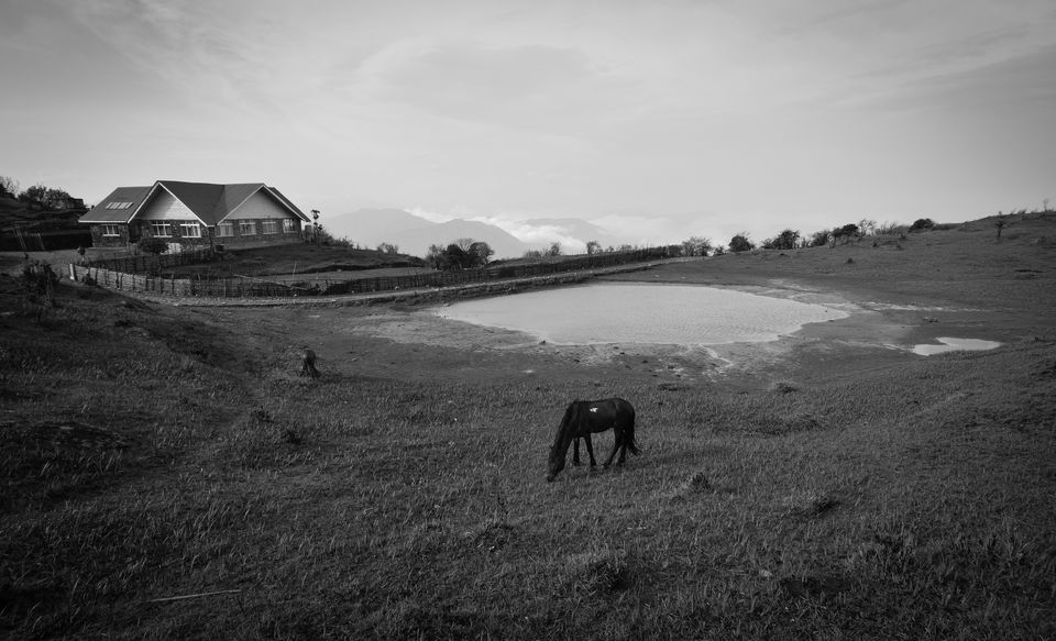 Photo of Timeless Tonglu 4/4 by Nilanjan Lahiri