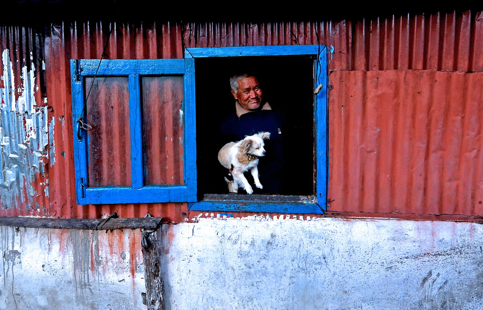 Photo of Timeless Tonglu 1/4 by Nilanjan Lahiri