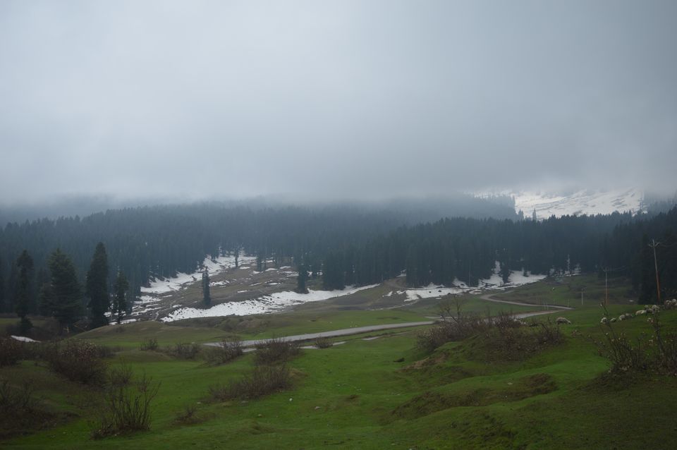 Photo of Doodhpatri - A Heaven Unexplored 1/4 by thesojournsoul