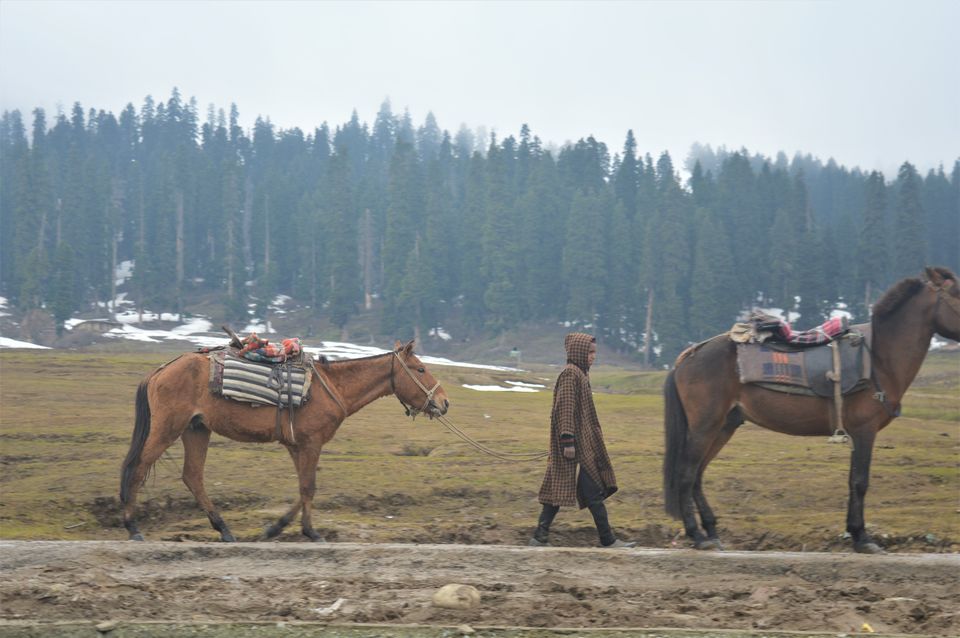 Photo of Doodhpatri - A Heaven Unexplored 3/4 by thesojournsoul